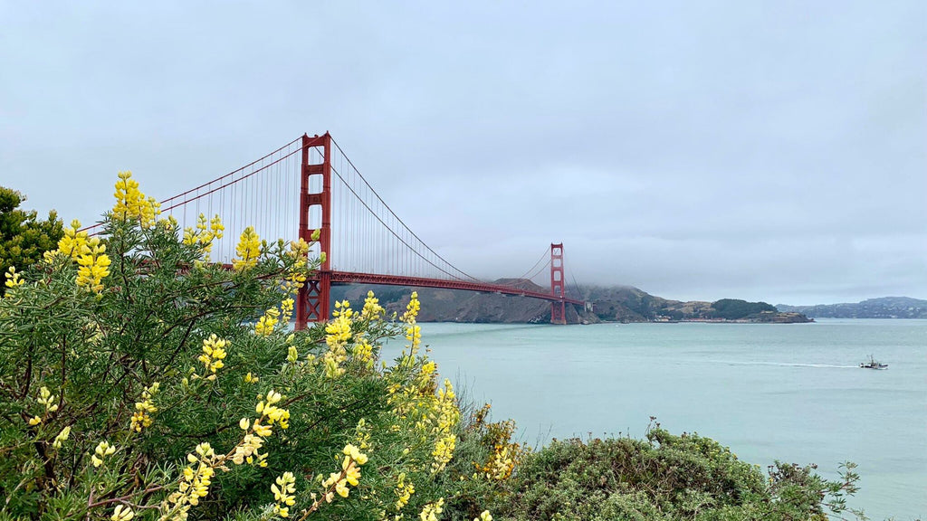 San Francisco: Must-See Spots and Eats